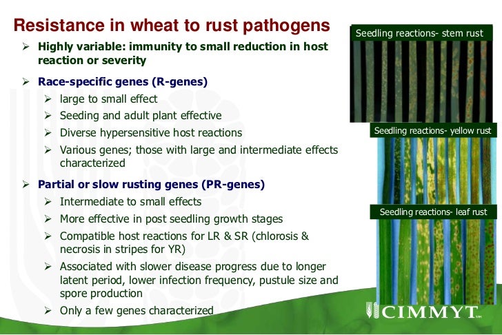 Pathogen Biology